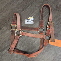 Thick Nylon Halter *gc/fair, hair, v.dirty, stained & faded, rubs, frays, snags
