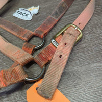 Thick Nylon Halter *gc/fair, hair, v.dirty, stained & faded, rubs, frays, snags
