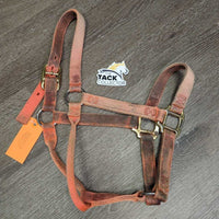 Thick Nylon Halter *gc/fair, hair, v.dirty, stained & faded, rubs, frays, snags
