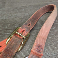 Thick Nylon Halter *gc/fair, hair, v.dirty, stained & faded, rubs, frays, snags
