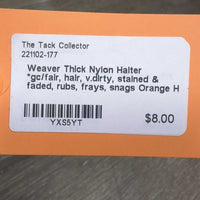 Thick Nylon Halter *gc/fair, hair, v.dirty, stained & faded, rubs, frays, snags
