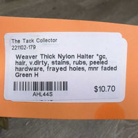 Thick Nylon Halter *gc, hair, v.dirty, stains, rubs, peeled hardware, frayed holes, mnr faded
