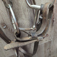 Headstall, Curb Strap, Split Reins, Eggbutt Bit *gc/fair, older, dirt, creases, cracks, splits, MISSING Concho, rust
