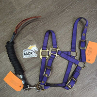 Nylon Halter, adj & Short Horsemanship Lead Rope, Leather Tassle *like new, mnr residue
