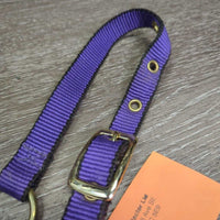 Nylon Halter, adj & Short Horsemanship Lead Rope, Leather Tassle *like new, mnr residue
