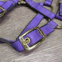 Nylon Halter, adj & Short Horsemanship Lead Rope, Leather Tassle *like new, mnr residue
