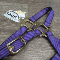 Nylon Halter, adj & Short Horsemanship Lead Rope, Leather Tassle *like new, mnr residue
