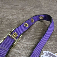 Nylon Halter, adj & Short Horsemanship Lead Rope, Leather Tassle *like new, mnr residue
