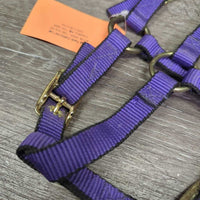 Nylon Halter, adj & Short Horsemanship Lead Rope, Leather Tassle *like new, mnr residue
