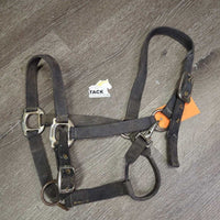 Stiff Nylon Halter, adj, snap *fair, stiff, dirty, frays, dingy, rust, pulled edges, rusty, oxidized
