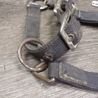 Stiff Nylon Halter, adj, snap *fair, stiff, dirty, frays, dingy, rust, pulled edges, rusty, oxidized
