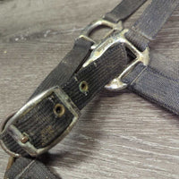Stiff Nylon Halter, adj, snap *fair, stiff, dirty, frays, dingy, rust, pulled edges, rusty, oxidized
