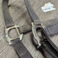 Stiff Nylon Halter, adj, snap *fair, stiff, dirty, frays, dingy, rust, pulled edges, rusty, oxidized
