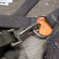 Stiff Nylon Halter, adj, snap *fair, stiff, dirty, frays, dingy, rust, pulled edges, rusty, oxidized
