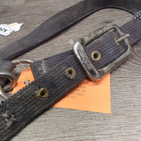 Stiff Nylon Halter, adj, snap *fair, stiff, dirty, frays, dingy, rust, pulled edges, rusty, oxidized
