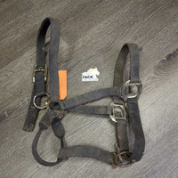 Stiff Nylon Halter, adj, snap *fair, stiff, dirty, frays, dingy, rust, pulled edges, rusty, oxidized
