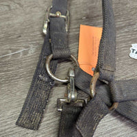 Stiff Nylon Halter, adj, snap *fair, stiff, dirty, frays, dingy, rust, pulled edges, rusty, oxidized

