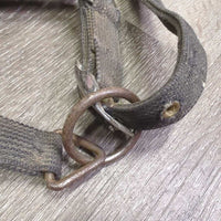 Stiff Nylon Halter, adj, snap *fair, stiff, dirty, frays, dingy, rust, pulled edges, rusty, oxidized
