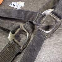 Stiff Nylon Halter, adj, snap *fair, stiff, dirty, frays, dingy, rust, pulled edges, rusty, oxidized
