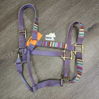 Soft Nylon Halter, adj, snap *gc, dirty, stains, rubs, dingy, faded, discolored, scratches, chews, frays
