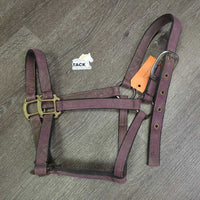 Thick Stiff Nylon Halter *fair, faded, v.dirty, stained, edge rubs, older

