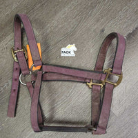 Thick Stiff Nylon Halter *fair, faded, v.dirty, stained, edge rubs, older
