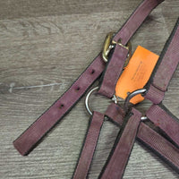 Thick Stiff Nylon Halter *fair, faded, v.dirty, stained, edge rubs, older
