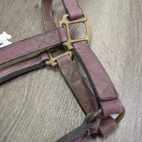 Thick Stiff Nylon Halter *fair, faded, v.dirty, stained, edge rubs, older

