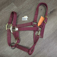 Thick Nylon Halter, adj, snap *gc, dirt, edge frays, faded?
