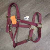 Thick Nylon Halter, adj, snap *gc, dirt, edge frays, faded?
