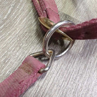 Thick Nylon Halter, adj, snap *gc, dirt, edge frays, faded?

