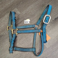 Stiff Thick Nylon Halter *fair, dirty, v.rubbed & frayed edges & end, faded, stains
