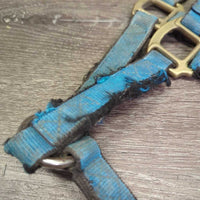 Stiff Thick Nylon Halter *fair, dirty, v.rubbed & frayed edges & end, faded, stains

