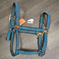 Stiff Thick Nylon Halter *fair, dirty, v.rubbed & frayed edges & end, faded, stains
