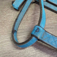 Stiff Thick Nylon Halter *fair, dirty, v.rubbed & frayed edges & end, faded, stains
