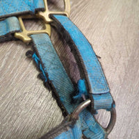 Stiff Thick Nylon Halter *fair, dirty, v.rubbed & frayed edges & end, faded, stains
