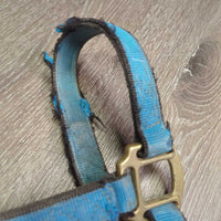 Stiff Thick Nylon Halter *fair, dirty, v.rubbed & frayed edges & end, faded, stains

