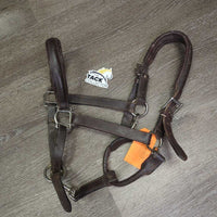 Padded Leather Halter, adj, 3x Snaps - Convertible Grooming Halter *gc, v.dirt, rubs, residue, peeled & chipped edges, dry, stiff
