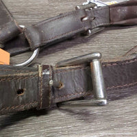 Padded Leather Halter, adj, 3x Snaps - Convertible Grooming Halter *gc, v.dirt, rubs, residue, peeled & chipped edges, dry, stiff
