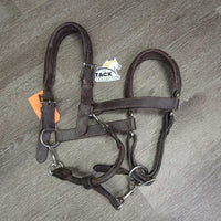 Padded Leather Halter, adj, 3x Snaps - Convertible Grooming Halter *gc, v.dirt, rubs, residue, peeled & chipped edges, dry, stiff
