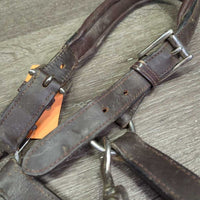 Padded Leather Halter, adj, 3x Snaps - Convertible Grooming Halter *gc, v.dirt, rubs, residue, peeled & chipped edges, dry, stiff
