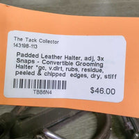 Padded Leather Halter, adj, 3x Snaps - Convertible Grooming Halter *gc, v.dirt, rubs, residue, peeled & chipped edges, dry, stiff
