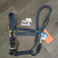 Narrow Stiff Nylon Halter, adj, snap *gc, dirty, stains, rub
