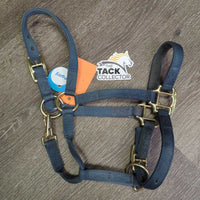 Narrow Stiff Nylon Halter, adj, snap *gc, dirty, stains, rub
