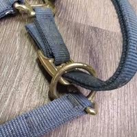 Narrow Stiff Nylon Halter, adj, snap *gc, dirty, stains, rub
