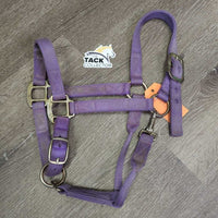 Thick Nylon Halter, snap, adj *gc/fair, stains, dirty, faded, rubs, frayed holes & edges
