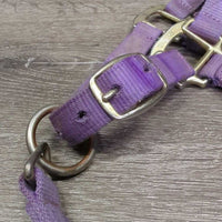 Thick Nylon Halter, snap, adj *gc/fair, stains, dirty, faded, rubs, frayed holes & edges
