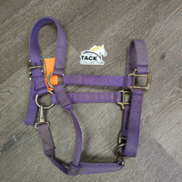 Thick Nylon Halter, snap, adj *gc/fair, stains, dirty, faded, rubs, frayed holes & edges
