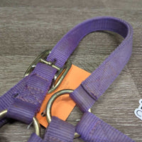 Thick Nylon Halter, snap, adj *gc/fair, stains, dirty, faded, rubs, frayed holes & edges
