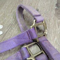Thick Nylon Halter, snap, adj *gc/fair, stains, dirty, faded, rubs, frayed holes & edges
